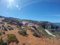 Wanderung von Hafen zu Hafen