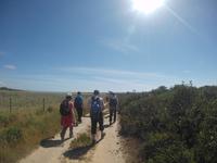 Wanderung von Hafen zu Hafen