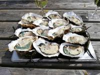 Ostende, Austernfarm „De Oesterput“