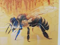 Durbuy,  „Parc des Topiaires“