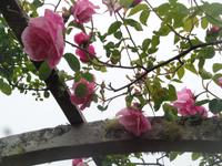 Sark - La Seigneurie