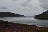 Fotostopp am Killary Harbour