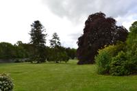 Wanderung im Coole Park