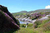 Zusatzwanderung zum Derrynane House