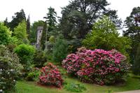 Powerscourt Gardens