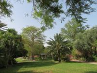 Rundreise Israel - Kibbuz Ein Gedi