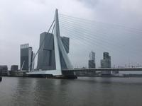 Rotterdam - Erasmusbrücke