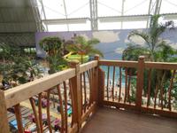 Im Tropical Islands