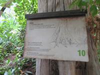 Dschungelpfad im Tropical Islands