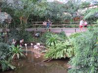 Dschungelpfad im Tropical Islands