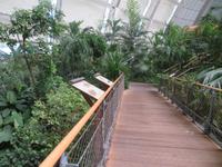 Dschungelpfad im Tropical Islands