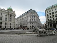 Wien - Fiaker auf dem Michaelerplatz