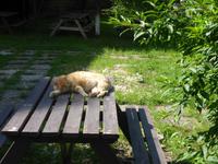 Rumänien Mai 2019 - Bukarest - Dorfmuseum