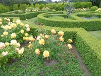 Mrs. Skinner´s garden