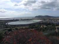 Blick vom Fuchsberg auf die alten Salzfelder