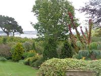 im Garten von Mrs. Lea