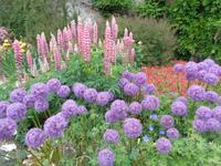 Botanischer Garten Samares Manor