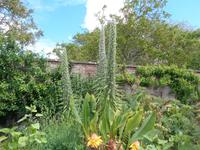 Botanischer Garten Samares Manor