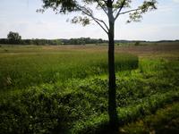 4_Rückfahrt von Rostock (1)