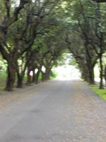Papstsommergarten, Castel Gandolfo