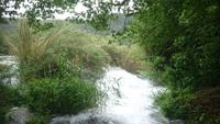 Wassermassen, die sich ihren Weg bahnen, Krka Nationalpark