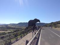 der Elefant