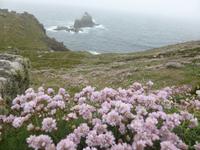Lands End