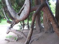 Arundel - Parkanlage