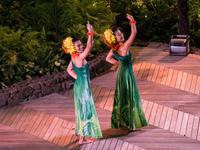 Hula-Show in Honolulu