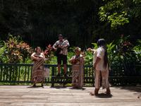 Hula Musik Farngrotte 