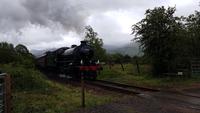 Jacobite Train