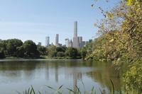 Central Park - The Lake