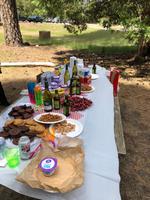 Picknick im Yosemite NP