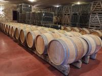 075. Château d'Aney