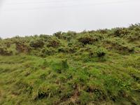 088. La Rhune