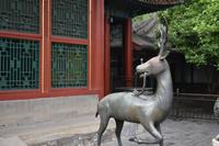 Sommerpalast Peking