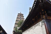 Xi´an - Wildganspagode