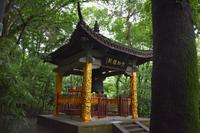 Hangzhou Sechs-Harmonien-Pagode