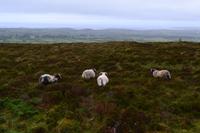 Wanderung am Ben Bulben