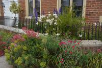 immer Blumen im Vorgarten