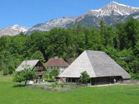Schweizerisches Freilichtmuseum Ballenberg