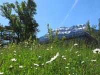 Schweizerisches Freilichtmuseum Ballenberg