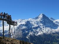 Auf dem First