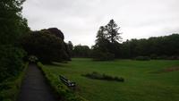 Im Coole Park