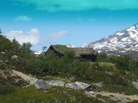 Im Strynfjell im Blauen Gebirge