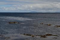 Tag auf den Aran Islands - Mittagspause an der Robbenkolonie