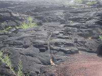 Vulkandorf Lajido - Radspuren im Lavagestein