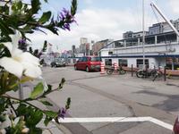 IMG_20190605_143928