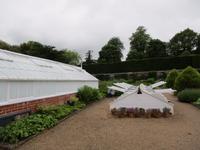 West Dean Gardens