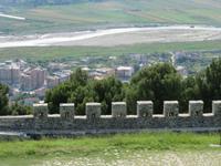 IMG_6420